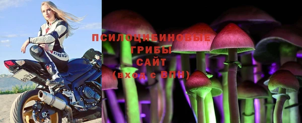гашик Алзамай
