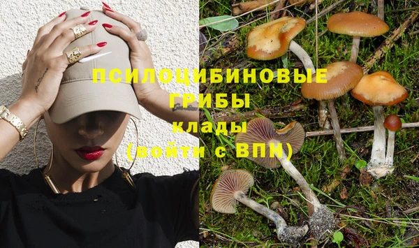 молекула духа Алексеевка