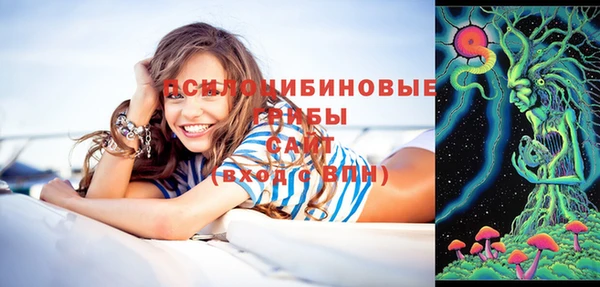 молекула духа Алексеевка