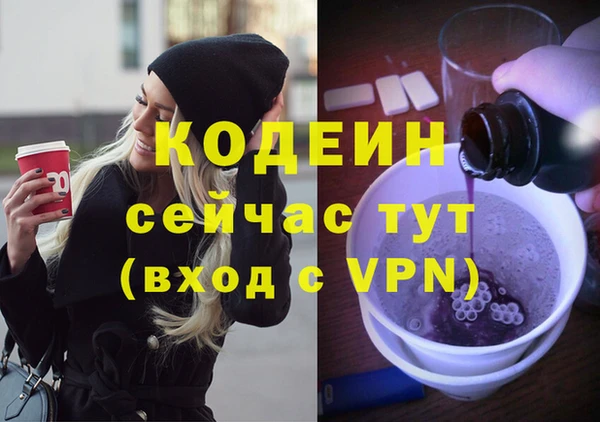 гашик Алзамай